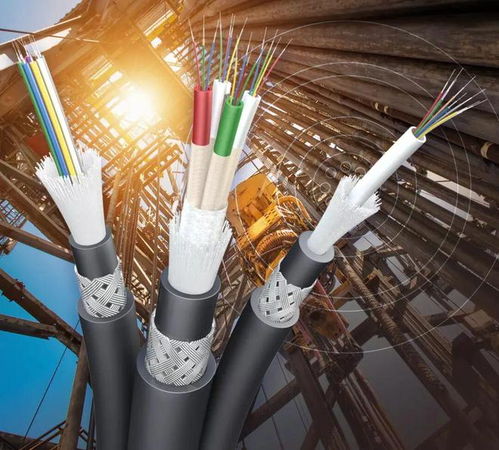 陽爾船用網(wǎng)線與光纜成功獲得LR型式認可證書，助力船舶通信技術(shù)升級